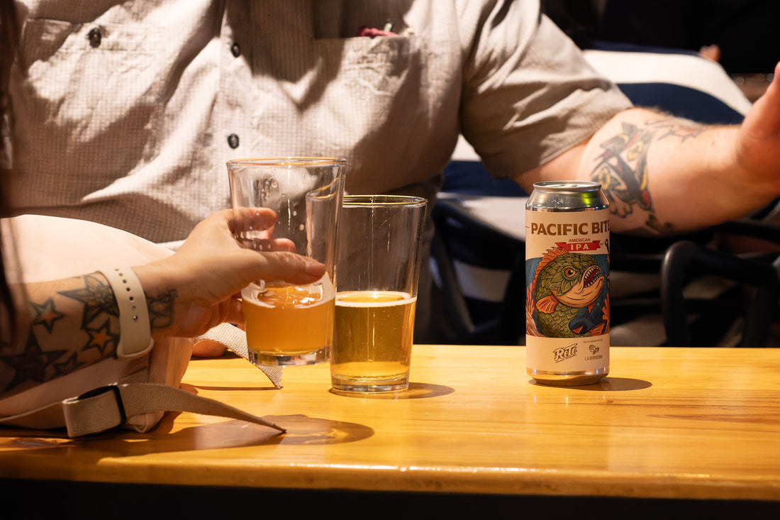 La Generación Z sí consume alcohol: un estudio desmiente uno de los mayores mitos de la industria cervecera